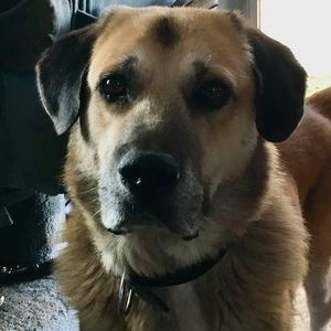 Meet your Posher, Vicki